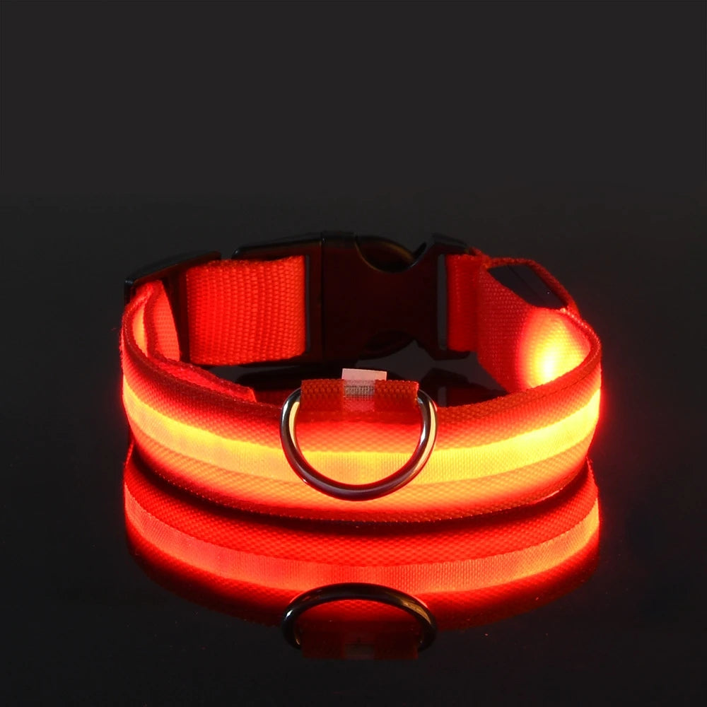 Nylon LED Night Safety Flashing  dog collar