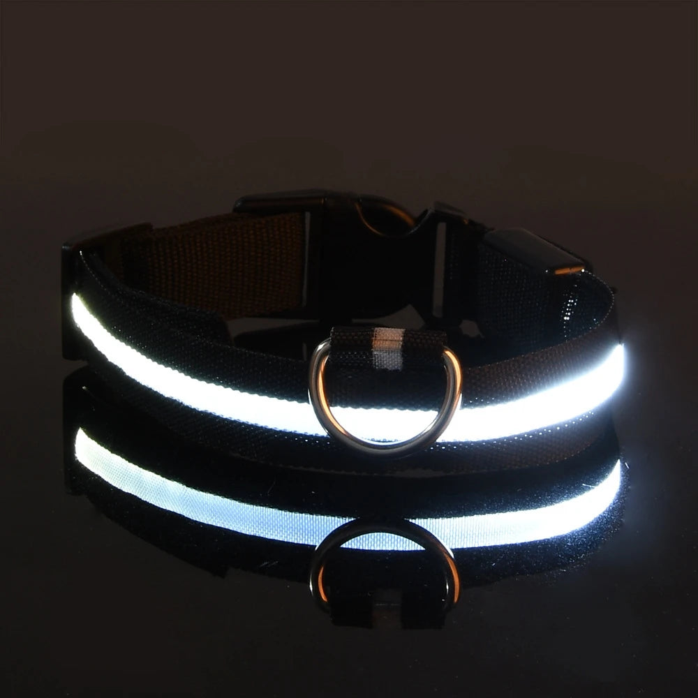 Nylon LED Night Safety Flashing  dog collar