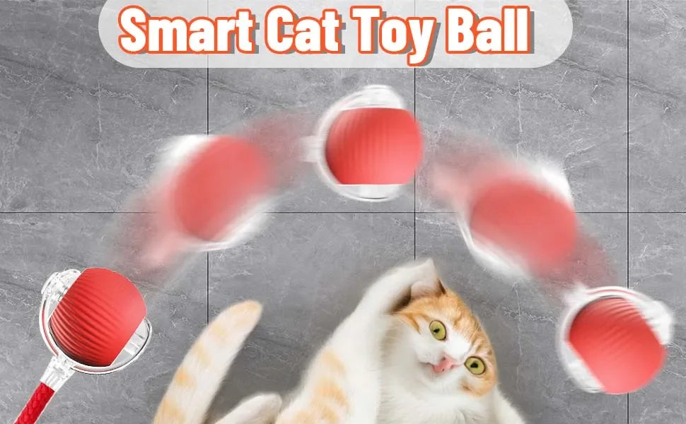 Dog Cat Interactive Ball. Automatic Rolling Ball
