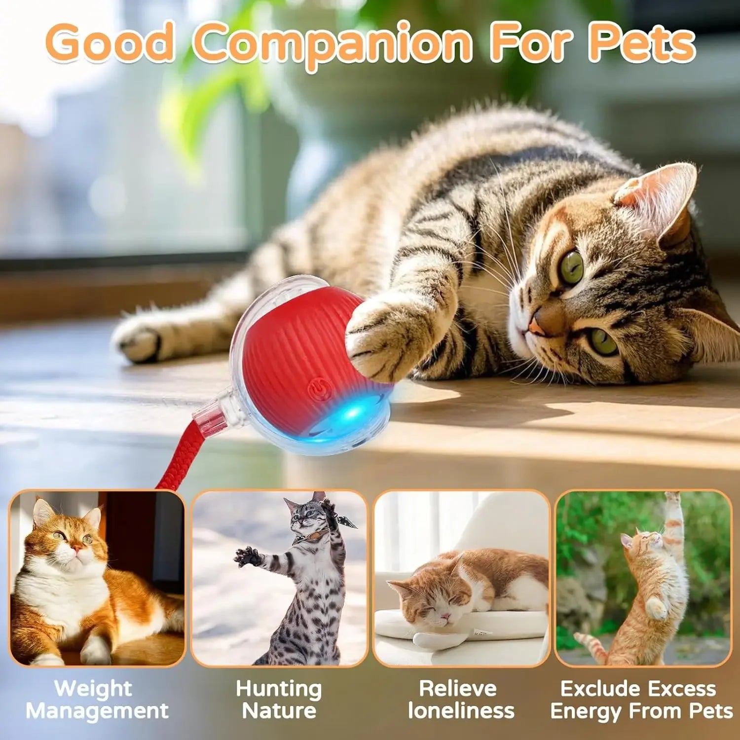 Dog Cat Interactive Ball. Automatic Rolling Ball