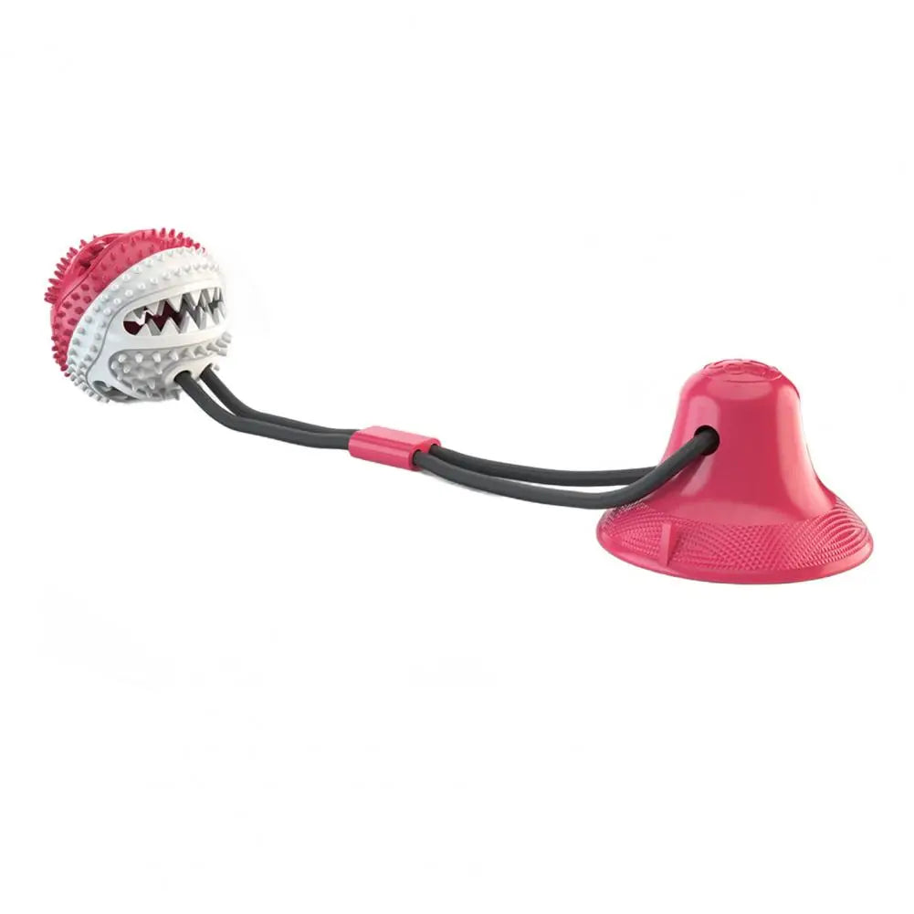 Dog Chew Toys for Aggressive Chewers