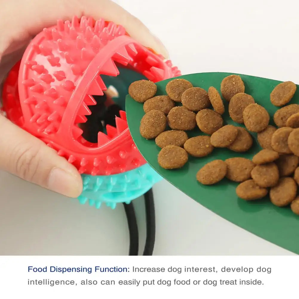 Dog Chew Toys for Aggressive Chewers