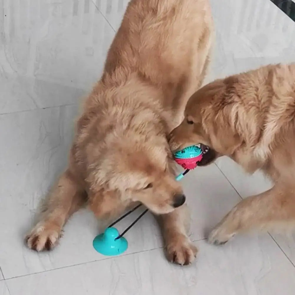 Dog Chew Toys for Aggressive Chewers