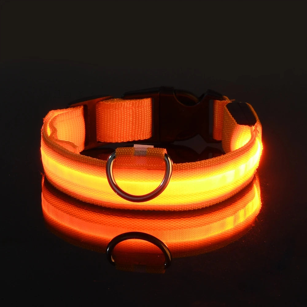 Nylon LED Night Safety Flashing  dog collar