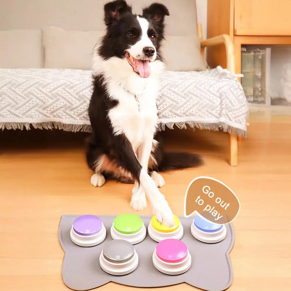 Pet Toy for Cats Dogs
