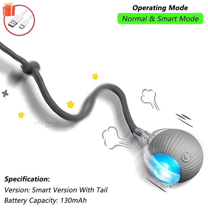 Dog Cat Interactive Ball. Automatic Rolling Ball