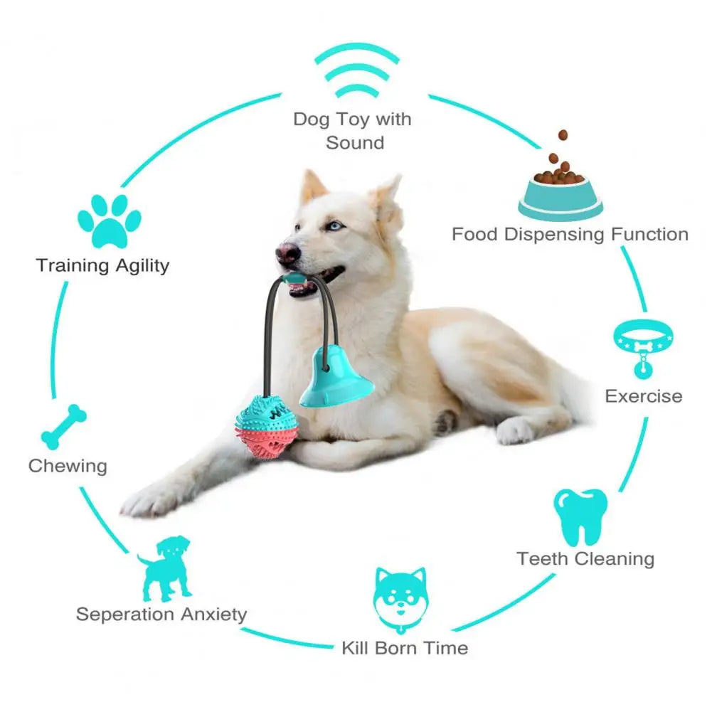 Dog Chew Toys for Aggressive Chewers