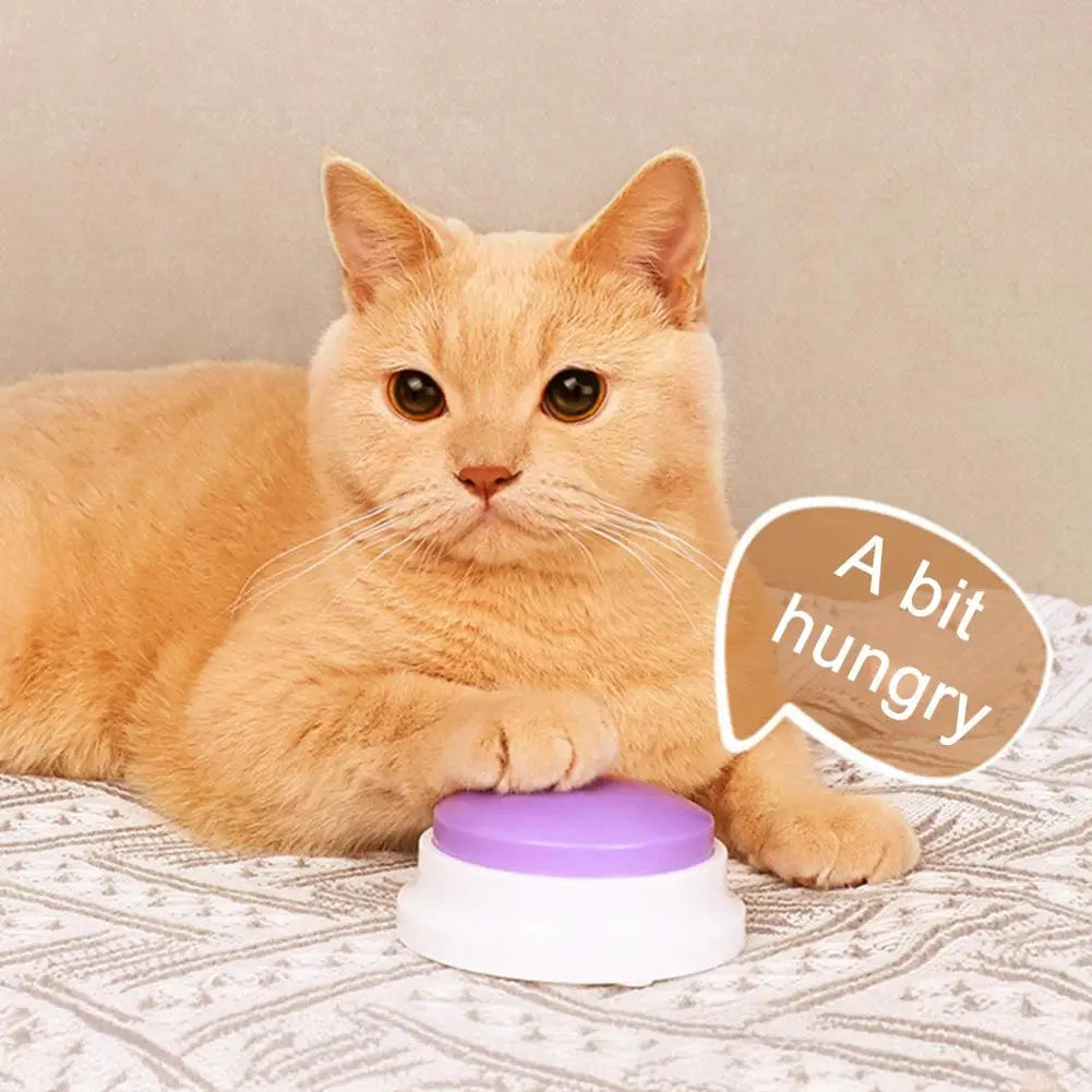 Pet Toy for Cats Dogs