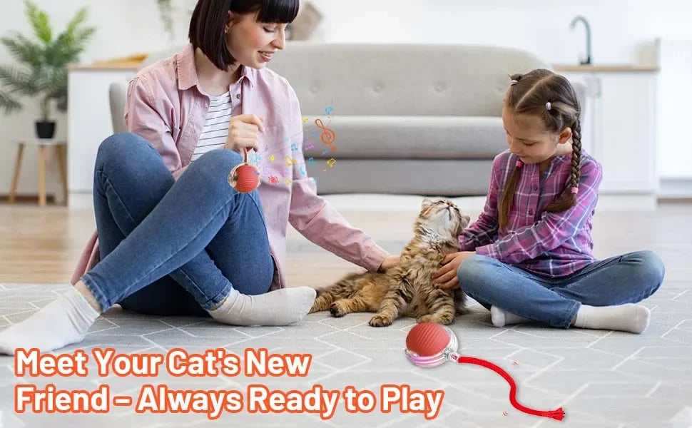 Dog Cat Interactive Ball. Automatic Rolling Ball