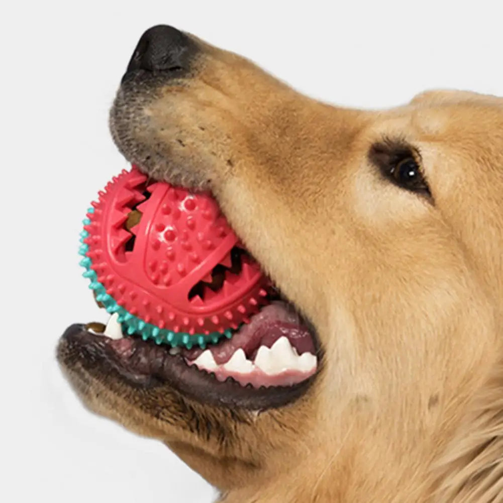 Dog Chew Toys for Aggressive Chewers