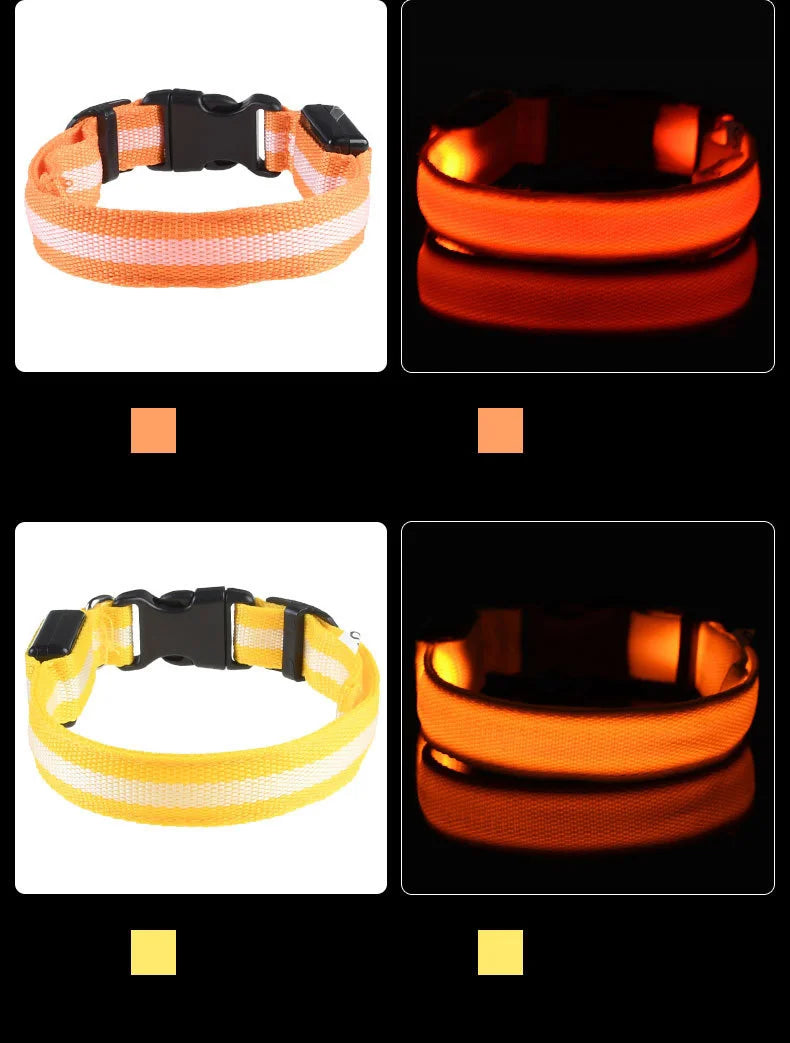 Nylon LED Night Safety Flashing  dog collar