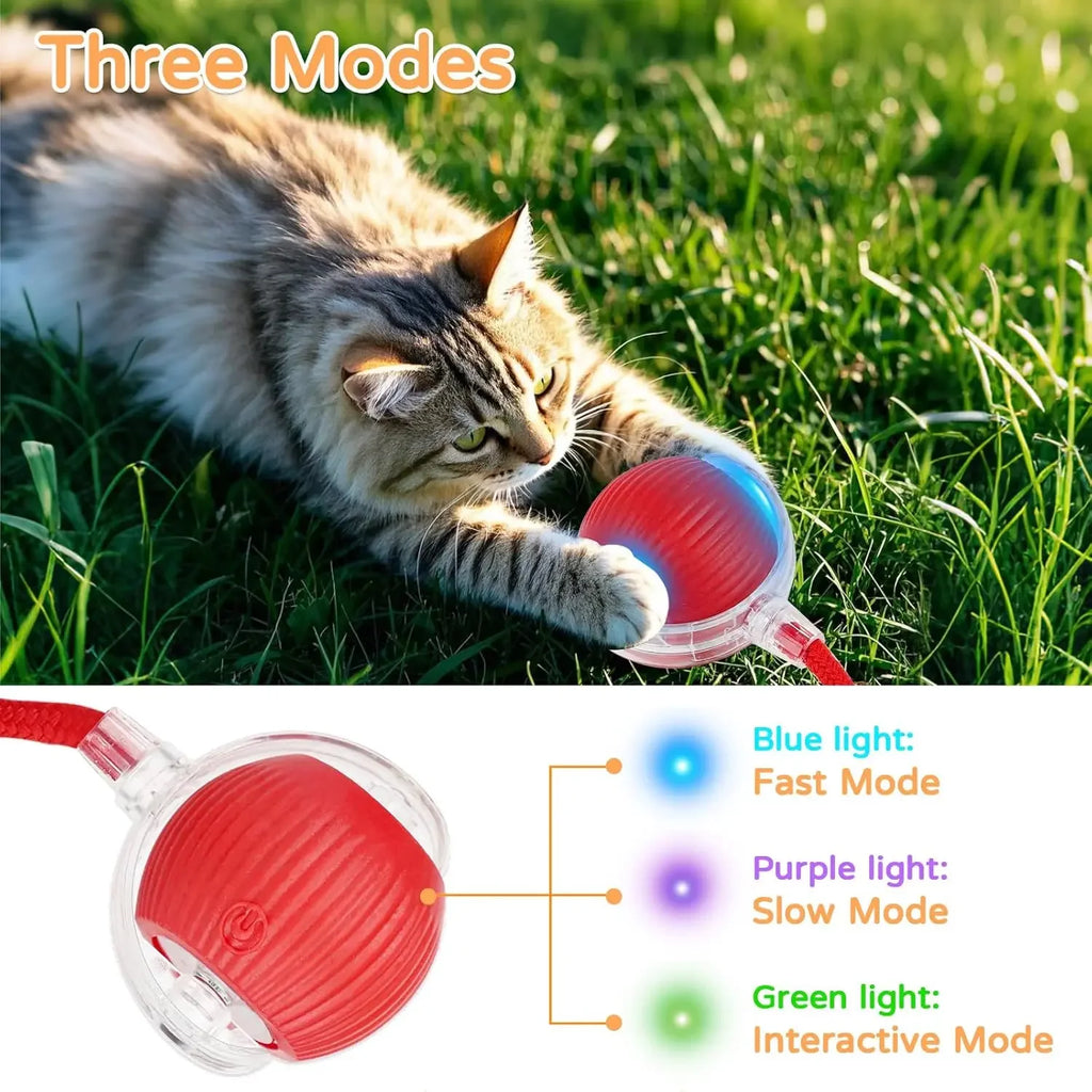 Dog Cat Interactive Ball. Automatic Rolling Ball