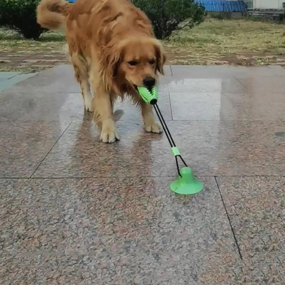 Dog Chew Toys for Aggressive Chewers