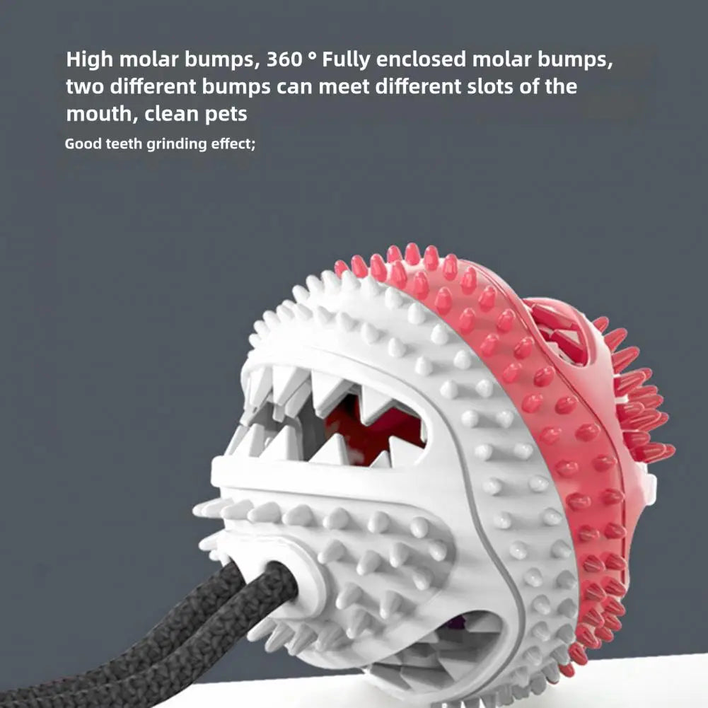 Dog Chew Toys for Aggressive Chewers