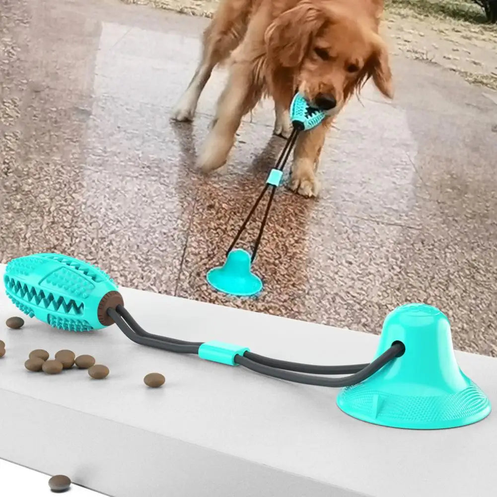 Dog Chew Toys for Aggressive Chewers