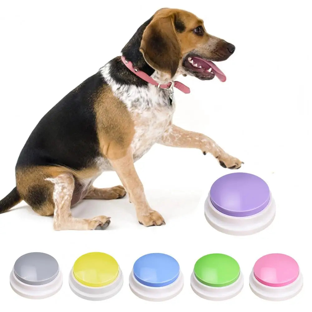 Pet Toy for Cats Dogs