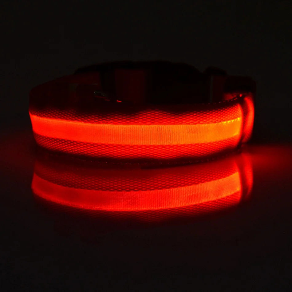 Nylon LED Night Safety Flashing  dog collar