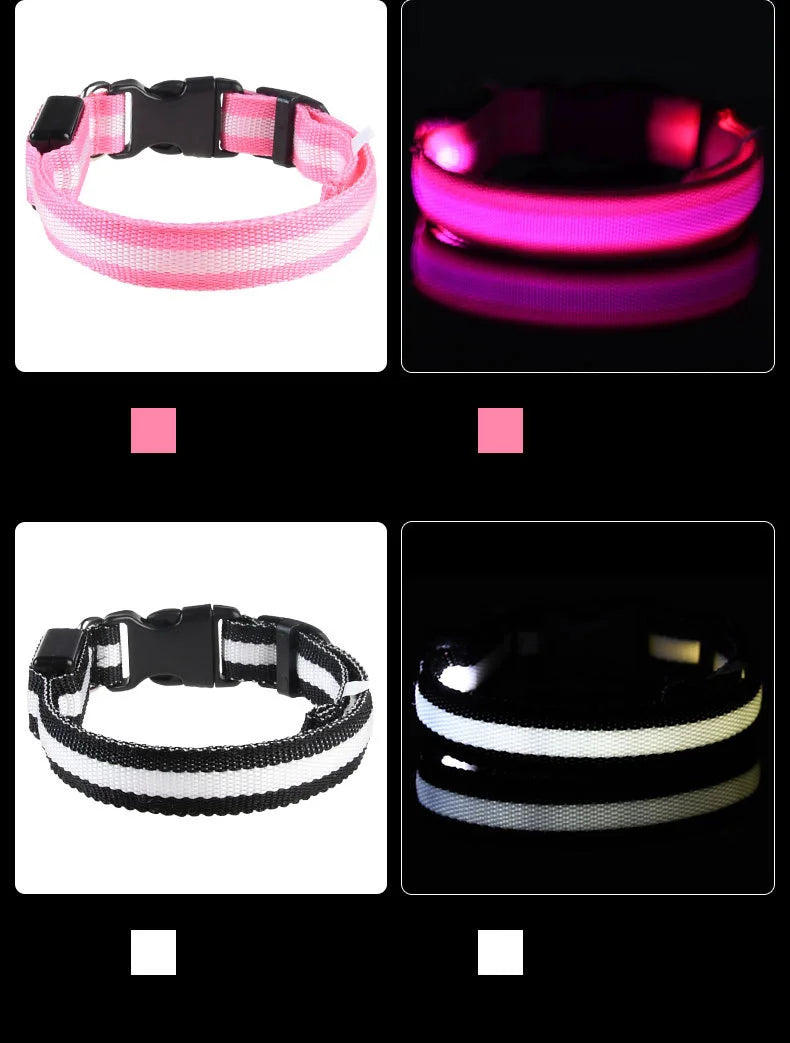 Nylon LED Night Safety Flashing  dog collar