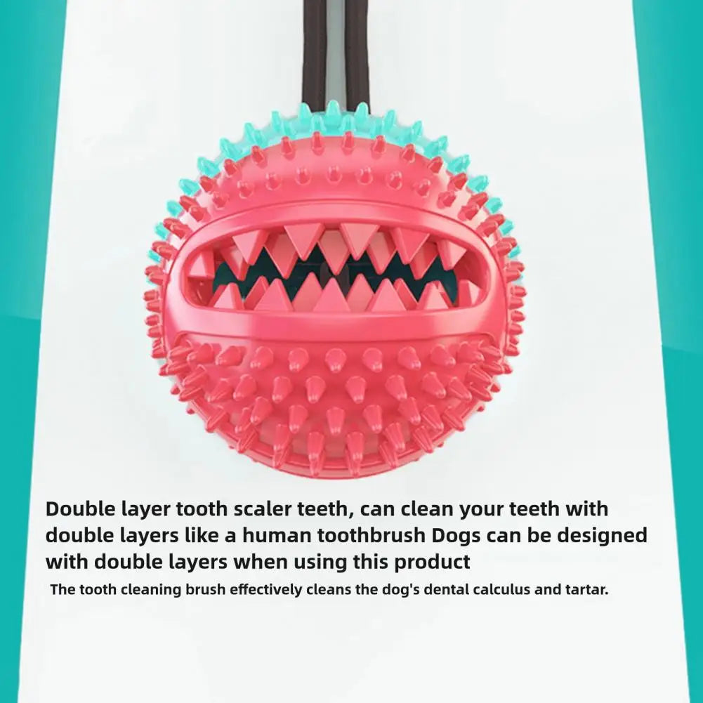 Dog Chew Toys for Aggressive Chewers