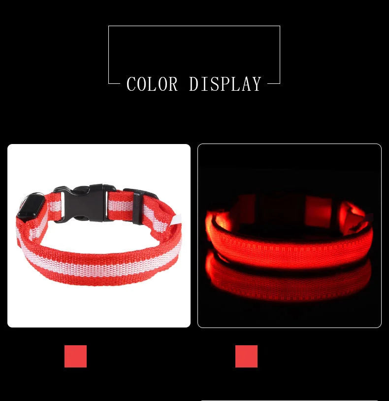 Nylon LED Night Safety Flashing  dog collar